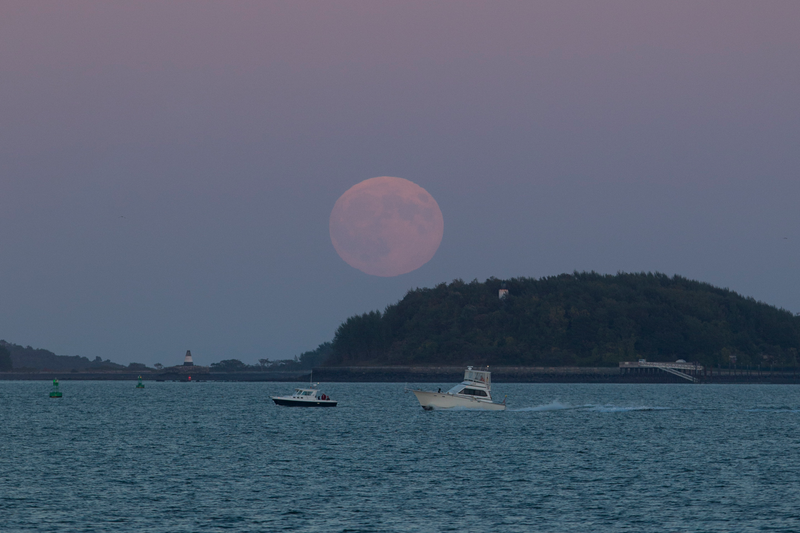 Illustration for article titled Here Are the Best Images of Last Night's Supermoon Eclipse
